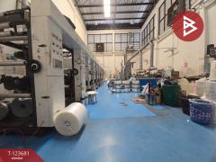 ขายโกดังพร้อมออฟฟิศ เนื้อที่ 86.6 ตร.วา กระทุ่มแบน สมุทรสาคร-202510081133121759897992399.jpg