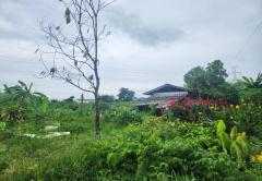 ขายที่ดิน หมู่บ้านนพวงศ์ ถนนปทุมธานี-บางเลน อำเภอลาดหลุมแก้ว ปทุมธานี-202510081312451759903965883.jpg