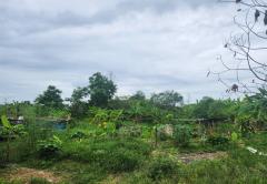 ขายที่ดิน หมู่บ้านนพวงศ์ ถนนปทุมธานี-บางเลน อำเภอลาดหลุมแก้ว ปทุมธานี-202510081312461759903966693.jpg