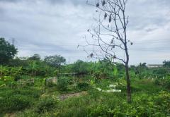 ขายที่ดิน หมู่บ้านนพวงศ์ ถนนปทุมธานี-บางเลน อำเภอลาดหลุมแก้ว ปทุมธานี-202510081312471759903967233.jpg