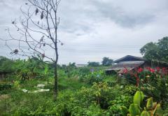 ขายที่ดิน หมู่บ้านนพวงศ์ ถนนปทุมธานี-บางเลน อำเภอลาดหลุมแก้ว ปทุมธานี-202510081312471759903967750.jpg