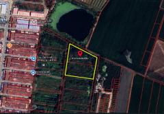 ขายที่ดิน หมู่บ้านนพวงศ์ ถนนปทุมธานี-บางเลน อำเภอลาดหลุมแก้ว ปทุมธานี