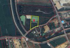 ขายที่ดิน เมืองนครปฐม ถนนมาลัยแมน ตำบลทัพหลวง อำเภอเมือง นครปฐม