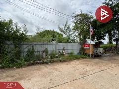 ขายที่ดิน-ในหมู่บ้านทรัพย์ไพศาล-เน