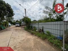 ขายที่ดิน ในหมู่บ้านทรัพย์ไพศาล เนื้อที่ 52 ตร.วา หนองจอก กรุงเทพมหานคร-202510081441171759909277279.jpg