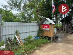 ขายที่ดิน ในหมู่บ้านทรัพย์ไพศาล เนื้อที่ 52 ตร.วา หนองจอก กรุงเทพมหานคร-202510081441191759909279503.jpg