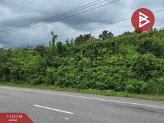 ขายที่ดิน เนื้อที่ 7 ไร่ 3 งาย 87 ตร.วา ผึ่งแดด มุกดาหาร-202510081532401759912360560.jpg