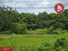 ขายที่ดิน เนื้อที่ 7 ไร่ 3 งาย 87 ตร.วา ผึ่งแดด มุกดาหาร-202510081532441759912364274.jpg