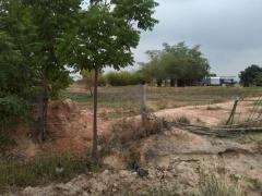 ขายด่วน ที่ดินเปล่า ติดถนนเส้นหลัก 3442 ห้วยกระเจา เนื้อที่ 2 ไร่ 313 ตร.ว. เดินทางสะดวก ไม่ไกลจากกรุงเทพ เดินทางเข้าเมืองได้ง่าย เหมาะสำหรับเปิดกิจการ อยู่อาศัยหรือทำการเกษตร-202510081642071759916527154.jpg