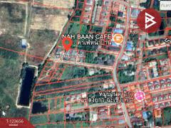 ขายบ้านเดี่ยวชั้นเดียว เนื้อที่ 96 ตร.วา แปลงยาว ฉะเชิงเทรา-202510081652361759917156154.jpg