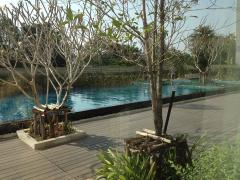 ให้เช่าถูกมาก!! คอนโด IRIS Avenue อ่อนนุช-ลาดกระบัง เฟอร์ครบพร้อมอยู่ ทำเลทอง ใกล้ห้างโรบินสัน เพียง 1 นาที-202510081921141759926074244.jpg