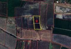 ขายที่ดิน ตำบลนางบวช อำเภอเดิมบางนางบวช สุพรรณบุรี ถนนสุพรรณบุรี-ชัยนาท