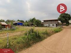 ขายที่ดิน เนื้อที่ 1 งาน พรรณานิคม สกลนคร-202510090937031759977423415.jpg