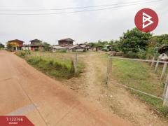 ขายที่ดิน เนื้อที่ 1 งาน พรรณานิคม สกลนคร-202510090937041759977424005.jpg