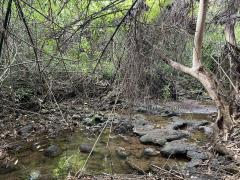 ที่ดินวังดง กาญจนบุรี ติดน้ำ วิวเขา-202510091024471759980287512.jpg