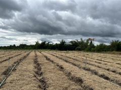 ที่ดินวังดง กาญจนบุรี ติดน้ำ วิวเขา-202510091024481759980288085.jpg