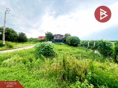 ขายที่ดิน เนื้อที่ 96 ตร.วา ไทรน้อย นนทบุรี-202510091113091759983189848.jpg