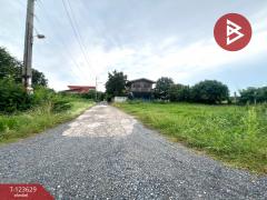 ขายที่ดิน เนื้อที่ 96 ตร.วา ไทรน้อย นนทบุรี-202510091113101759983190397.jpg