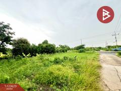 ขายที่ดิน เนื้อที่ 96 ตร.วา ไทรน้อย นนทบุรี-202510091113101759983190929.jpg