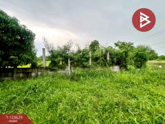 ขายที่ดิน เนื้อที่ 96 ตร.วา ไทรน้อย นนทบุรี-202510091113111759983191454.jpg