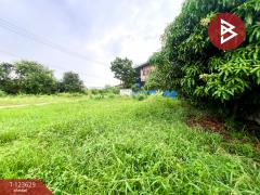 ขายที่ดิน เนื้อที่ 96 ตร.วา ไทรน้อย นนทบุรี-202510091113121759983192098.jpg