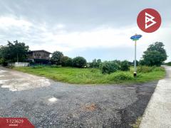 ขายที่ดิน เนื้อที่ 96 ตร.วา ไทรน้อย นนทบุรี-202510091113131759983193173.jpg