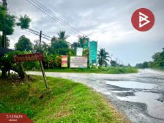 ขายที่ดิน เนื้อที่ 96 ตร.วา ไทรน้อย นนทบุรี-202510091113141759983194786.jpg