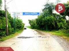 ขายที่ดิน เนื้อที่ 96 ตร.วา ไทรน้อย นนทบุรี-202510091113151759983195322.jpg