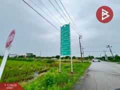 ขายที่ดิน เนื้อที่ 96 ตร.วา ไทรน้อย นนทบุรี-202510091113151759983195862.jpg