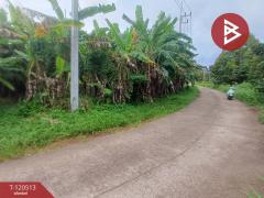 ขายที่ดิน เนื้อที่ 3 งาน ท่าใหม่ จันทบุรี