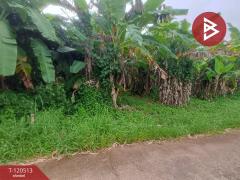 ขายที่ดิน เนื้อที่ 3 งาน ท่าใหม่ จันทบุรี-202510091226361759987596786.jpg