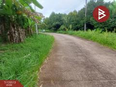 ขายที่ดิน เนื้อที่ 3 งาน ท่าใหม่ จันทบุรี-202510091226371759987597314.jpg