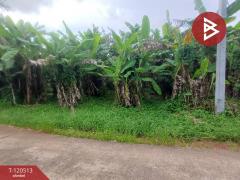 ขายที่ดิน เนื้อที่ 3 งาน ท่าใหม่ จันทบุรี-202510091226371759987597836.jpg