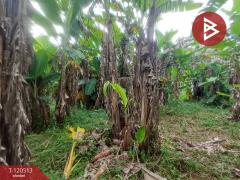 ขายที่ดิน เนื้อที่ 3 งาน ท่าใหม่ จันทบุรี-202510091226381759987598361.jpg