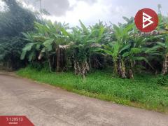 ขายที่ดิน เนื้อที่ 3 งาน ท่าใหม่ จันทบุรี-202510091226391759987599427.jpg