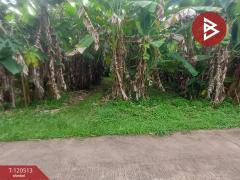 ขายที่ดิน เนื้อที่ 3 งาน ท่าใหม่ จันทบุรี-202510091226391759987599955.jpg