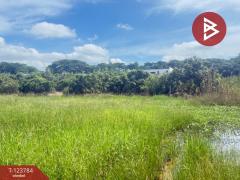 ขายที่ดิน-เนื้อที่-100-ตารางวา-บวกครกใ