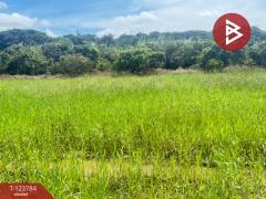 ขายที่ดิน เนื้อที่ 100 ตารางวา บวกครกใต้ ต.ท่าวังตาล อ.สารภี เชียงใหม่-202510091243011759988581694.jpg