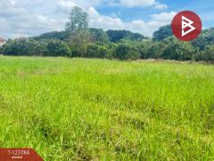 ขายที่ดิน เนื้อที่ 100 ตารางวา บวกครกใต้ ต.ท่าวังตาล อ.สารภี เชียงใหม่-202510091243021759988582221.jpg