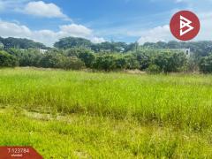 ขายที่ดิน เนื้อที่ 100 ตารางวา บวกครกใต้ ต.ท่าวังตาล อ.สารภี เชียงใหม่-202510091243021759988582749.jpg