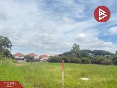 ขายที่ดิน เนื้อที่ 100 ตารางวา บวกครกใต้ ต.ท่าวังตาล อ.สารภี เชียงใหม่-202510091243031759988583513.jpg