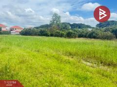 ขายที่ดิน เนื้อที่ 100 ตารางวา บวกครกใต้ ต.ท่าวังตาล อ.สารภี เชียงใหม่-202510091243041759988584033.jpg