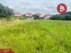 ขายที่ดิน เนื้อที่ 100 ตารางวา บวกครกใต้ ต.ท่าวังตาล อ.สารภี เชียงใหม่-202510091243041759988584558.jpg