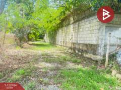 ขายที่ดิน เนื้อที่ 100 ตารางวา บวกครกใต้ ต.ท่าวังตาล อ.สารภี เชียงใหม่-202510091243051759988585084.jpg