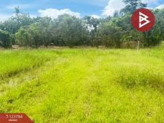 ขายที่ดิน เนื้อที่ 100 ตารางวา บวกครกใต้ ต.ท่าวังตาล อ.สารภี เชียงใหม่-202510091243051759988585613.jpg