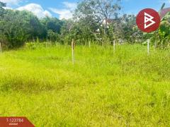 ขายที่ดิน เนื้อที่ 100 ตารางวา บวกครกใต้ ต.ท่าวังตาล อ.สารภี เชียงใหม่-202510091243061759988586141.jpg