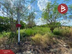 ขายด่วนที่ดิน-เนื้อที่-2-ไร่-บางพลี-ส