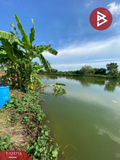 ขายด่วนที่ดิน เนื้อที่ 2 ไร่ บางพลี สมุทรปราการ ทำเลดี ติดถนน-202510091250191759989019850.jpg