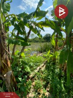 ขายด่วนที่ดิน เนื้อที่ 2 ไร่ บางพลี สมุทรปราการ ทำเลดี ติดถนน-202510091250201759989020901.jpg