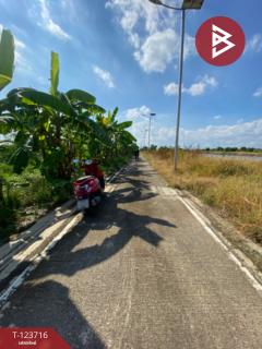 ขายด่วนที่ดิน เนื้อที่ 2 ไร่ บางพลี สมุทรปราการ ทำเลดี ติดถนน-202510091250211759989021960.jpg